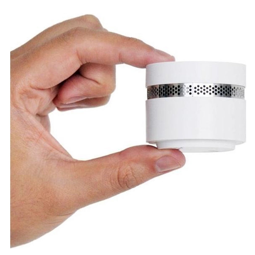 SK-20 Mini Rookmelder